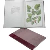 Sale Limited Edition The Queen'S Mulberries Royal Collection Publications