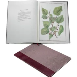 Sale Limited Edition The Queen'S Mulberries Royal Collection Publications