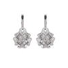 Hot Rose Drop Earrings Earrings