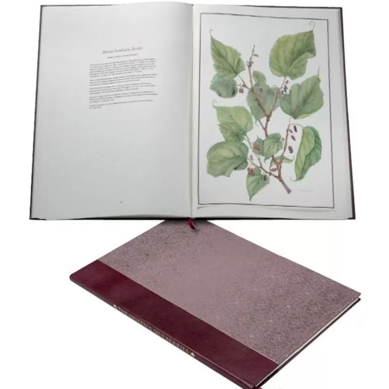 Royal Collection Shop Royal Collection Publications*Limited Edition The Queen'S Mulberries